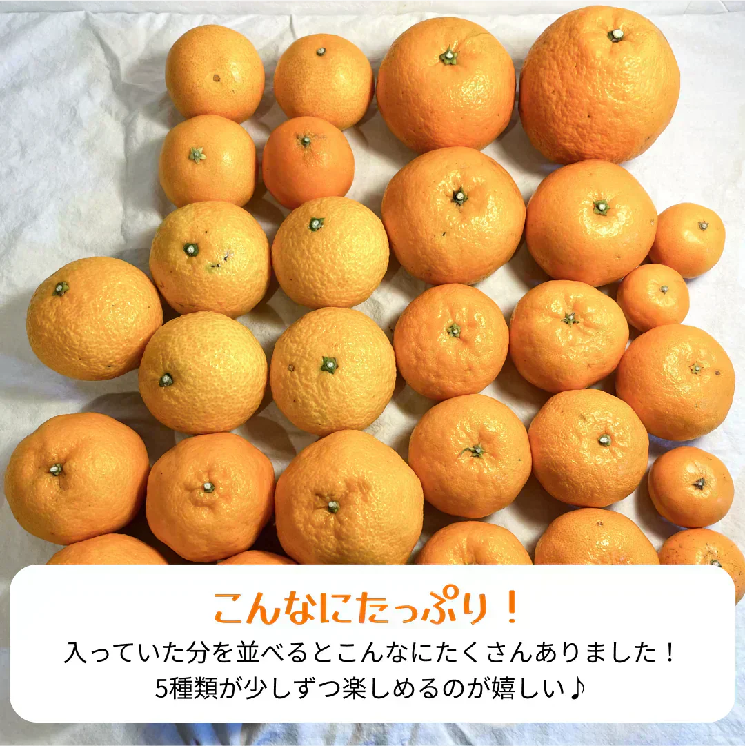 【発送は１月末からスタート】3種以上！愛媛のみかん食べ比べセット！5kg高級みかんが入るかも！?【福袋】