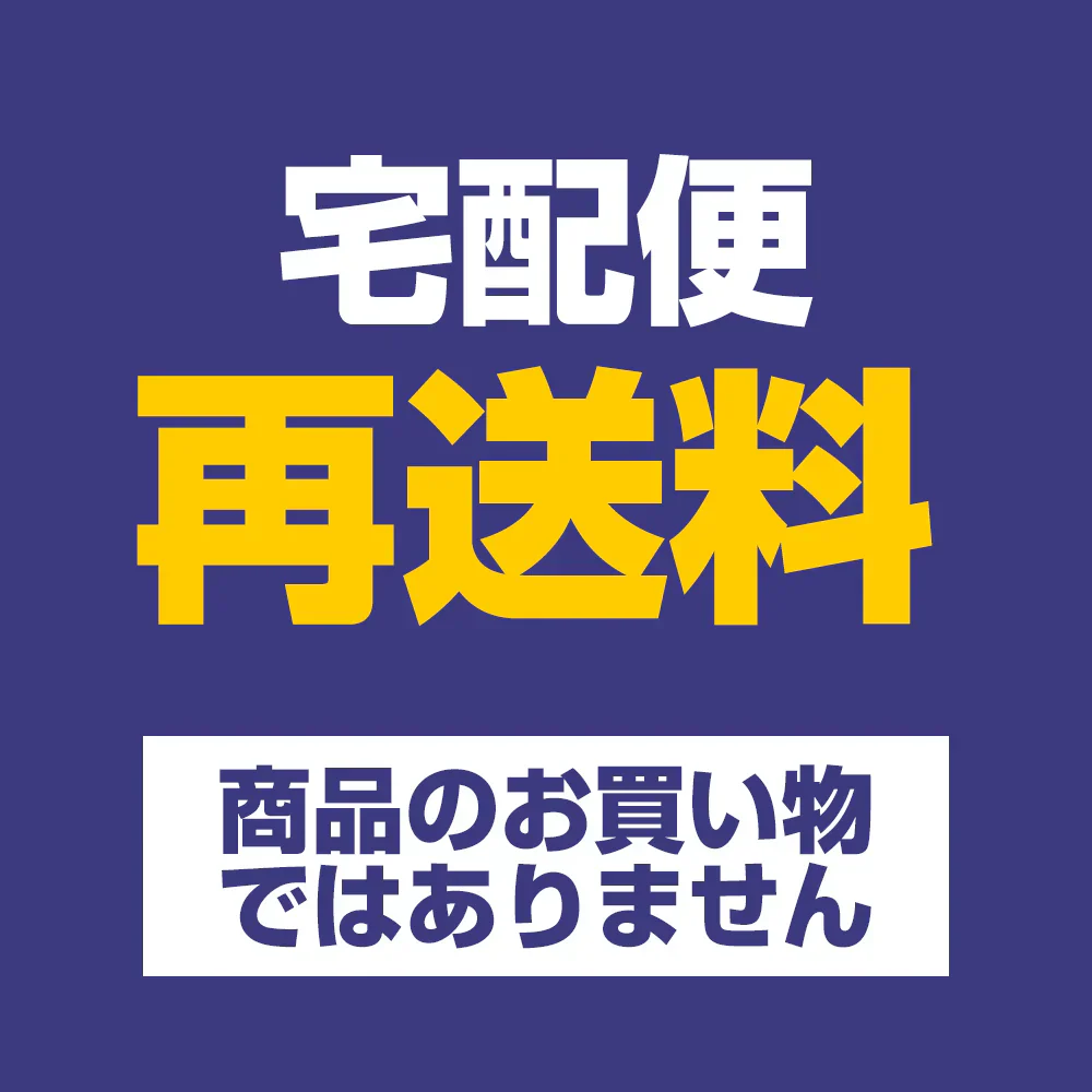 【使用不可】 宅配便配送 再発送料金