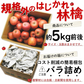 【2月中旬頃-3月下旬ご注文順次発送開始】訳あり りんご 約5kg バラ詰め サンふじ ふじ 青森産 林檎 リンゴ ふじ フジ