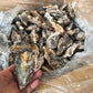 【生食OK】兵庫県産 殻付き牡蠣 冷凍 3kg 約50殻/冷凍クール便