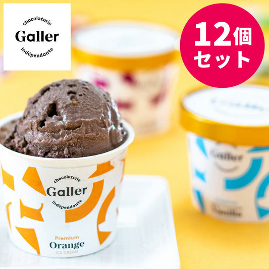 ガレープレミアムアイスクリーム12個セット