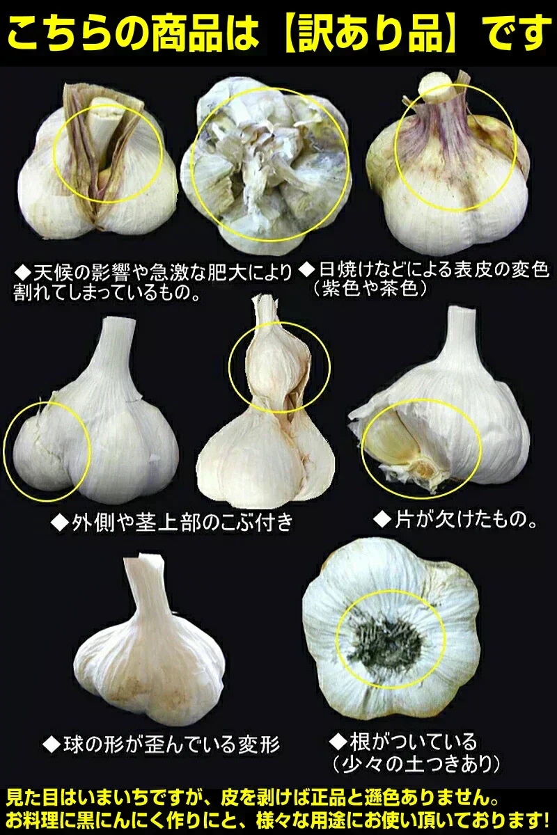 令和7年度産 青森県産にんにく 1㎏ 訳あり 並級C品 Mサイズ以上大玉混合 福地ホワイト六片種