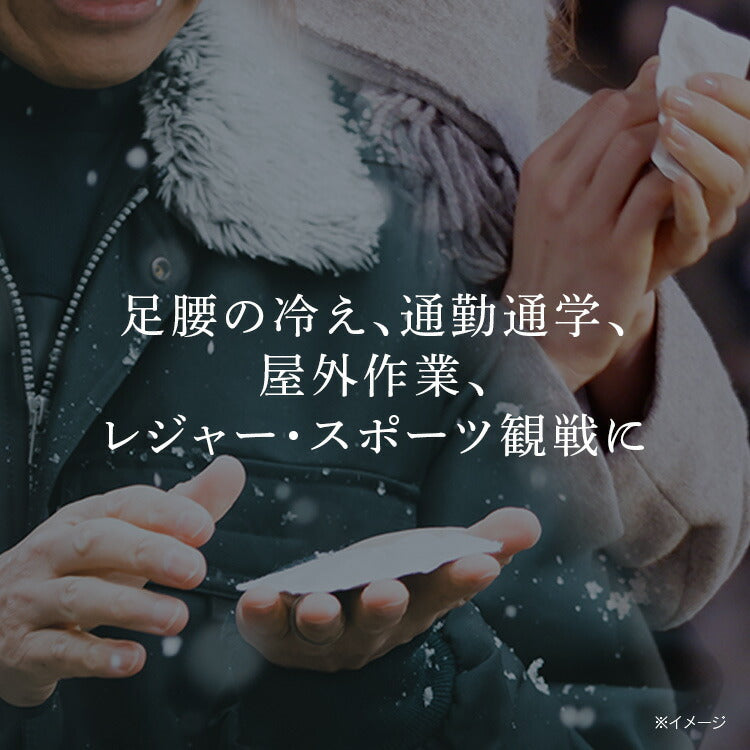【カートアップNG】【2個セット】カイロ 貼る レギュラー 30枚×2個 ぽかぽか家族 PKN-30HR貼るカイロ レギュラーサイズ 使い捨てカイロ 使い捨て あったかグッズ 冷え冬 持ち運び 運動 レジャー スポーツ スポーツ観戦 屋外作業 アイリスオーヤマ