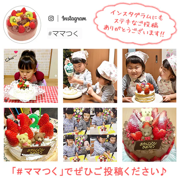 一緒に作ろう♪チョコレートケーキキット 【おいもや】 5号・3～4人用