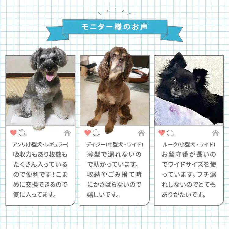 【レギュラーサイズ/800枚入り】超薄型 ペットシーツ ペットシーツ 多頭飼い 大容量 まとめ買い 業務用 ペット用 ペットシート トイレシート 犬 猫 トイレシーツ ペット用シーツ ペットシート おしっこシート おむつ替えシート 送料無料