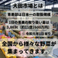 【送料無料】定番野菜セット11品（キャベツ・大根・玉葱・胡瓜・茄子・人参・じゃがいも・しめじ・えのき・長葱・ピーマン）中身が分かるセット【大田市場直送】
