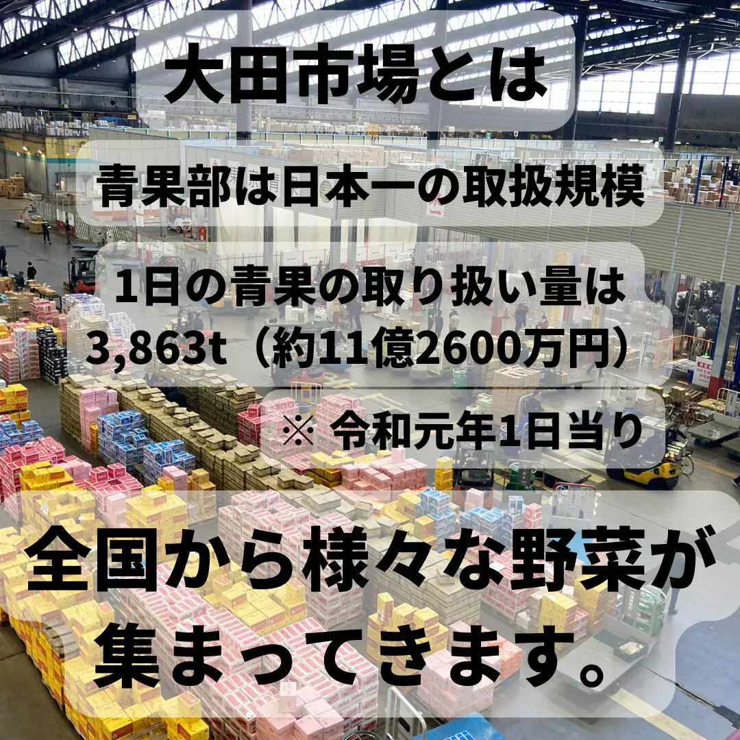 【送料無料】定番野菜セット11品（キャベツ・大根・玉葱・胡瓜・茄子・人参・じゃがいも・しめじ・えのき・長葱・ピーマン）中身が分かるセット【大田市場直送】
