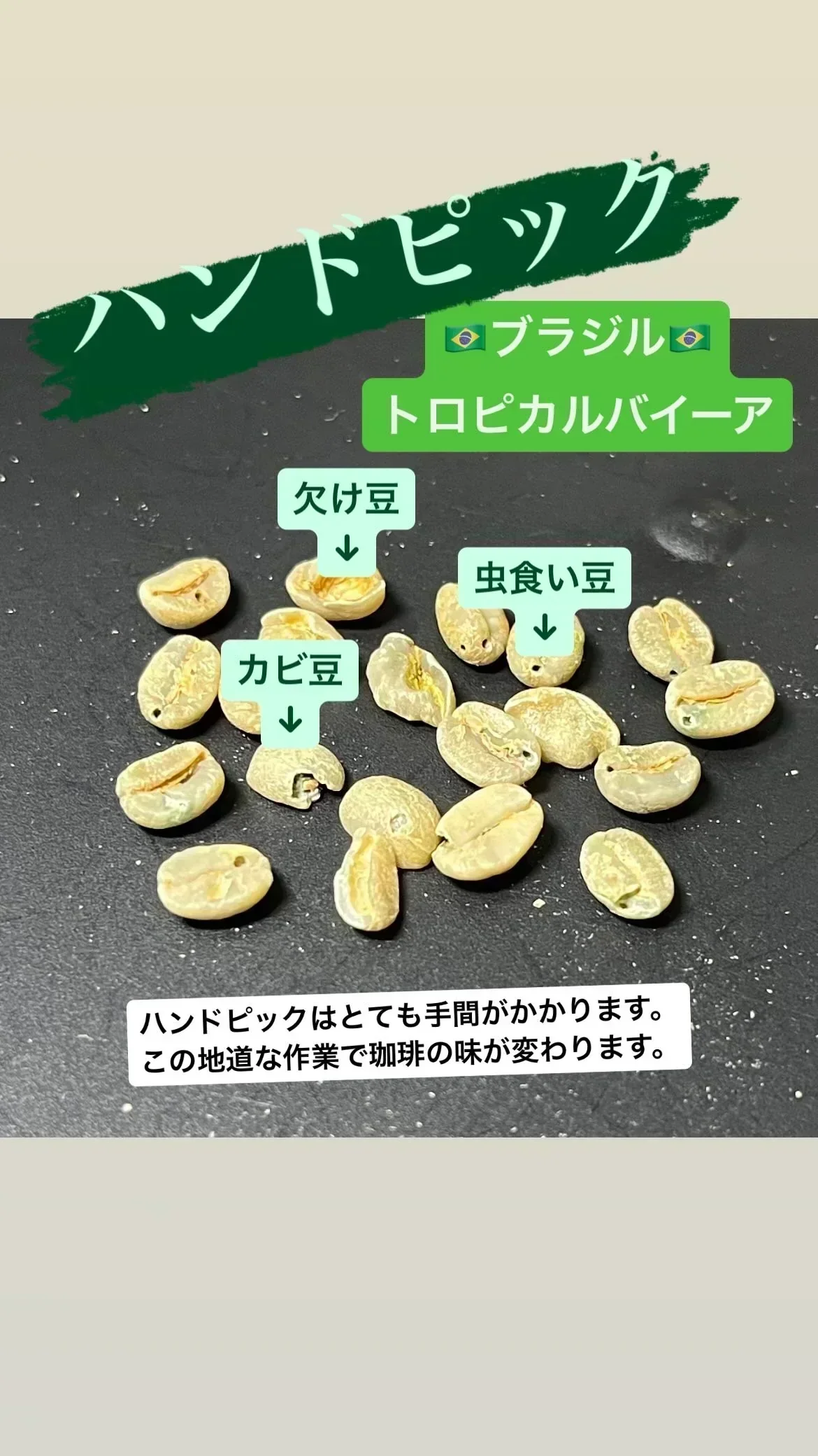 【お手軽】150g‼️トロピカルバイーア（🇧🇷ブラジル ナチュラル精製）豆 送料無料