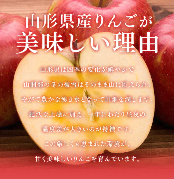 【11gatu 】りんご 訳あり 山形県産 約10kg(玉数おまかせ) 送料無料 品種おまかせ バラ詰め ※一部地域は別途送料追加 フルーツ 果物 果物 順次発送 ap13