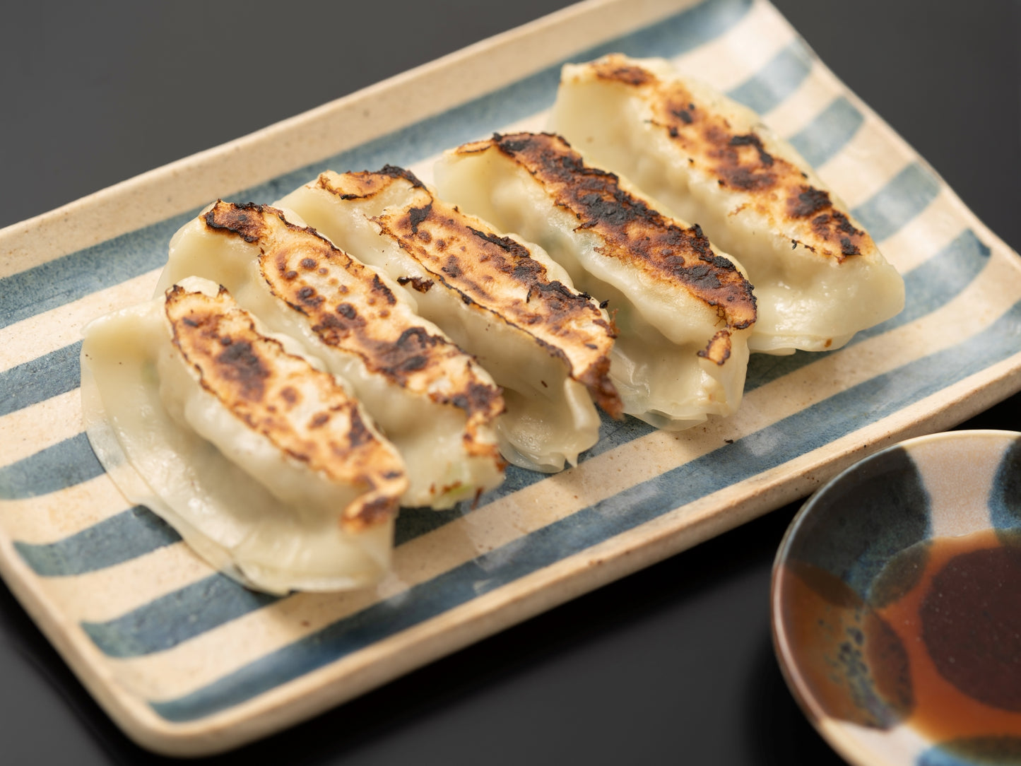 出水田鮮魚のおさかな餃子（８個×４パック）