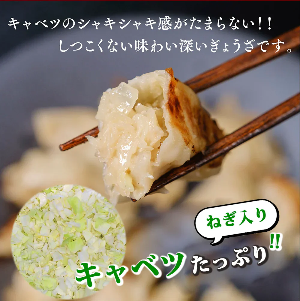ぎょうざ 太宰府ぎょうざ うま塩 餃子 96個 270g 送料無料 にんにく 中華 冷凍食品 お取り寄せ ギフト おかず 冷凍餃子  福岡県産 rep-002