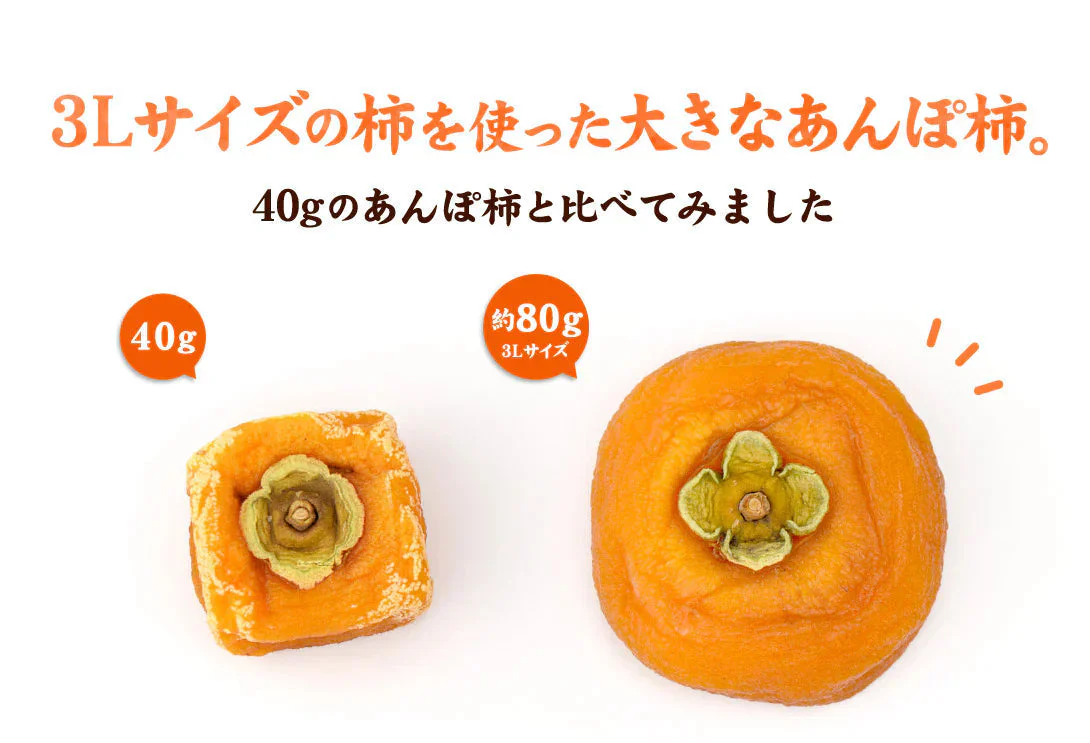 あんぽ柿 特大 和歌山産 70～80g×4個