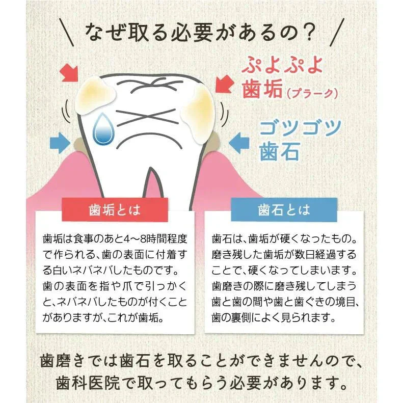 歯石取り 歯石除去 ヤニ取り 歯科専売 両頭鎌型スケーラー H5-33 1本 ／ 実際に歯科医院で使用されているプロ仕様！ 【メール便送料無料】