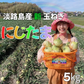 淡路島産ブランド新玉ねぎ 『にじたま』早生 一級品 5kgダンボール入り（ご家庭用・13個前後） 使いやすいL・2L・３L混在！