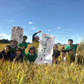 秋田県産 あきたこまち 無洗米15kg（5kg×3袋） 令和7年産 【古代米プレゼント付き】