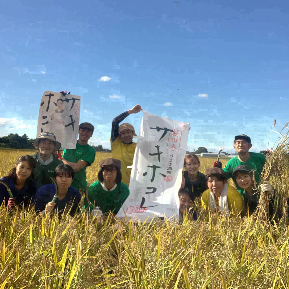 秋田県産 あきたこまち 無洗米15kg（5kg×3袋） 令和7年産 【古代米プレゼント付き】