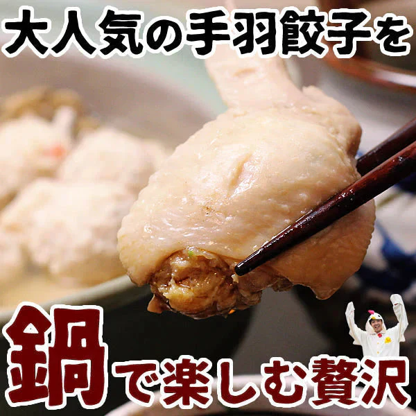 1日1500セットが完売！大人気！手羽先餃子鍋セット