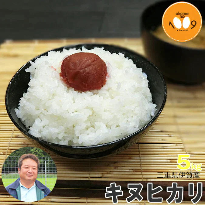 米 三重県伊賀産 キヌヒカリ 白米 5kg ヒラキファーム 令和5年産