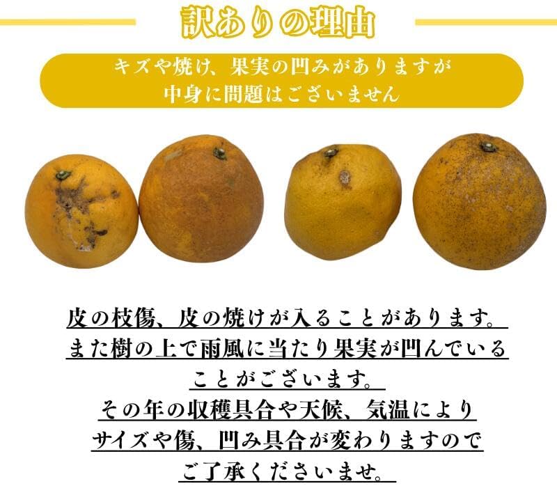 [みさわのやさい] 河内晩柑 訳あり 5kg かわちばんかん 晩柑 愛媛県産 ご家庭用 スレ 汚れ 黒点あり