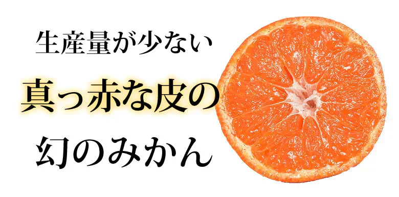 山下紅早生 みかん 幻のみかん 送料無料 秀品 2.5kg 希少品種 熊本県産  蜜柑 早生みかん ミカン