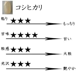 米 滋賀県近江八幡産 コシヒカリ 玄米 20kg 令和7年産 内野営農組合 環境こだわり農産物