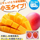 宮崎県産 完熟マンゴー マンゴー 2玉 化粧箱入り (Mサイズ:約240g～約309g) 送料無料 健康 ギフト プレゼント フルーツ 食べ物 贈答 旬の果物 贈答用