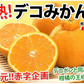 デコポン 同品種 訳あり デコみかん 10kg 箱込 (内容量9kg+補償分500g) 送料無料 熊本県産 フルーツ お取り寄せ みかん ミカン 蜜柑 不知火
