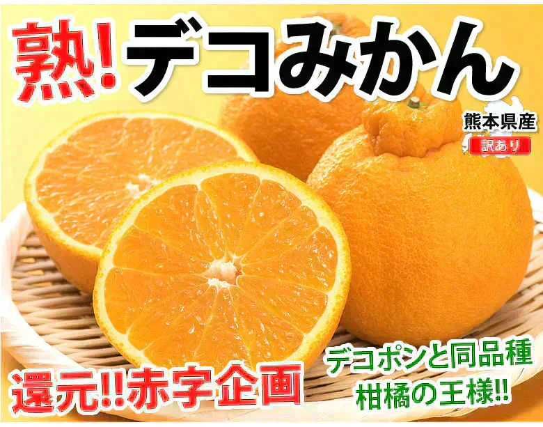 デコポン 同品種 訳あり デコみかん 10kg 箱込 (内容量9kg+補償分500g) 送料無料 熊本県産 フルーツ お取り寄せ みかん ミカン 蜜柑 不知火