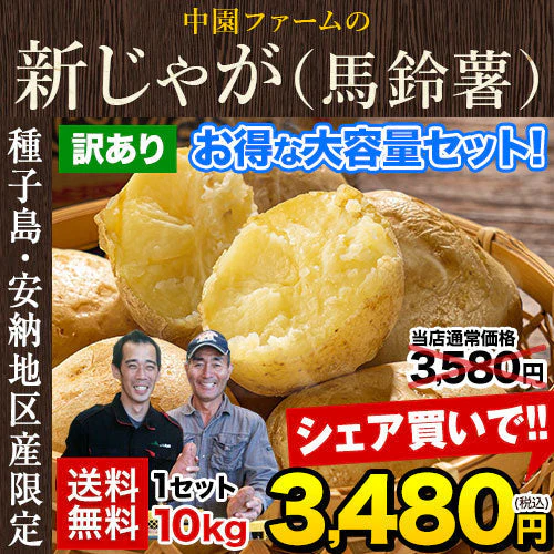 中園ファームのじゃがいも 新じゃが (馬鈴薯) 訳あり 10kg (M～2Lサイズ混合) 種子島産 ジャガイモ 芋 野菜 お取り寄せ