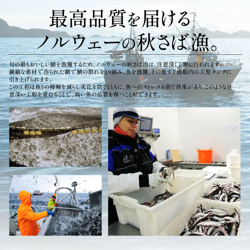 さば 無添加 無塩 トロさば サバ 鯖 約1kg(6〜8尾）トロ鯖 海鮮 天然 美味しい 魚 魚介 海産物 おかず おつまみ 乾き物 酒の肴 贈り物 お取り寄せグルメ 食べ物 おいしい 絶品
