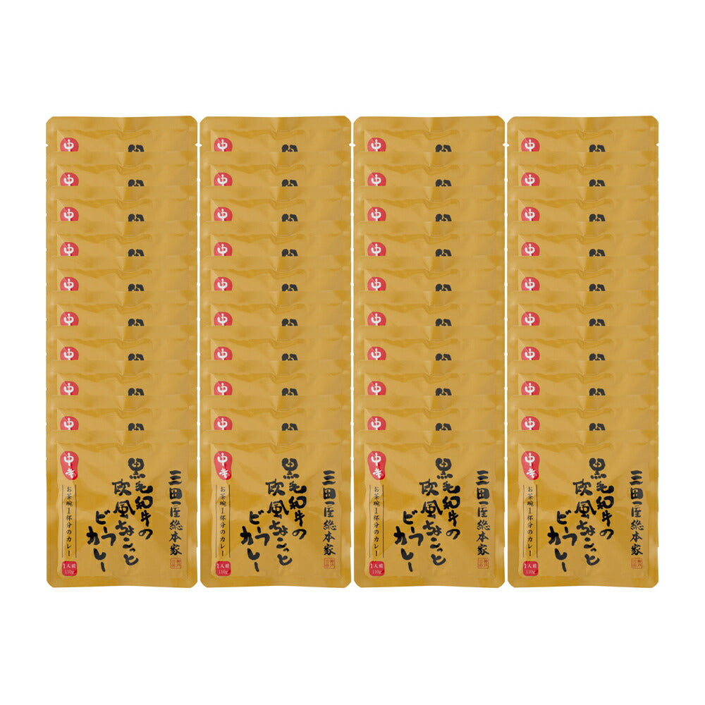 【3人シェア買いでお得】兵庫 「三田屋総本家」黒毛和牛の欧風ちょこっとビーフカレー（40食） レトルト
