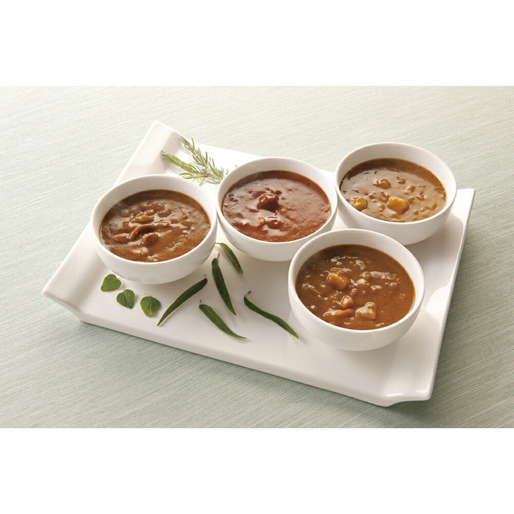 グランドシェフ宮田昭一監修 バラエティセット カレー レトルト 計10食