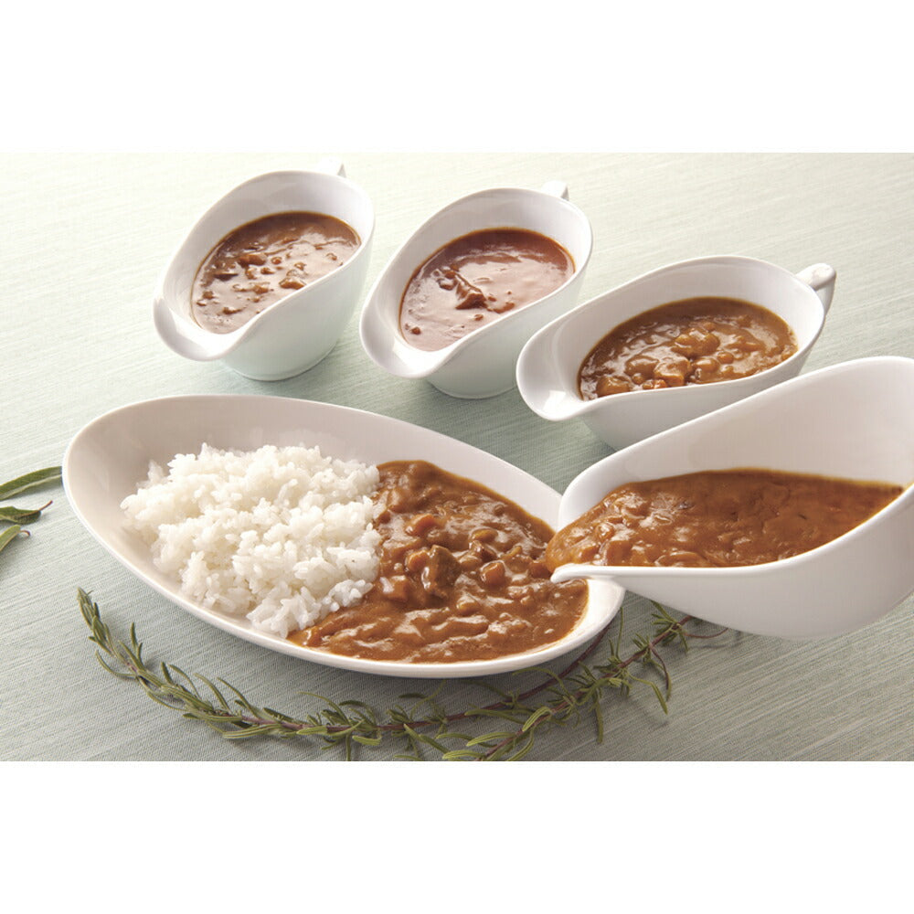 【3人シェア買いでお得】グランドシェフ宮田昭一監修 バラエティセット カレー レトルト 計10食