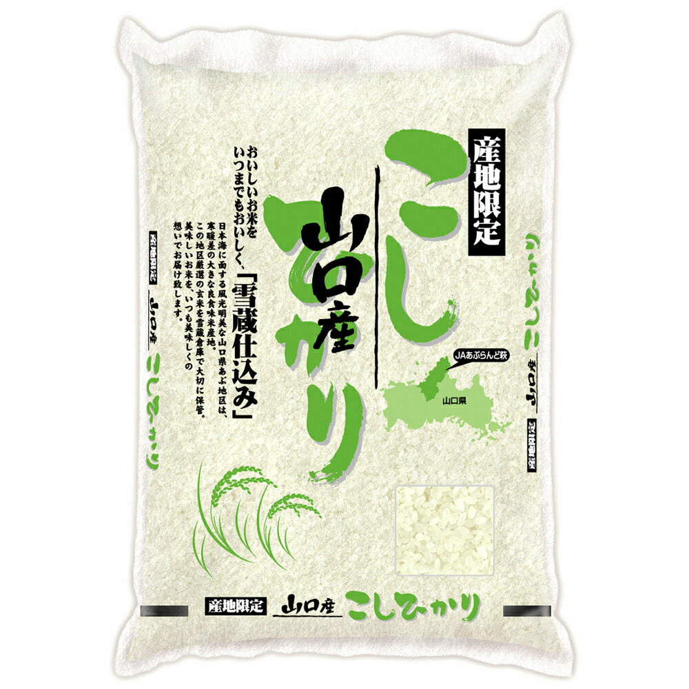 山口 雪蔵仕込 山口県産 コシヒカリ 2kg×2