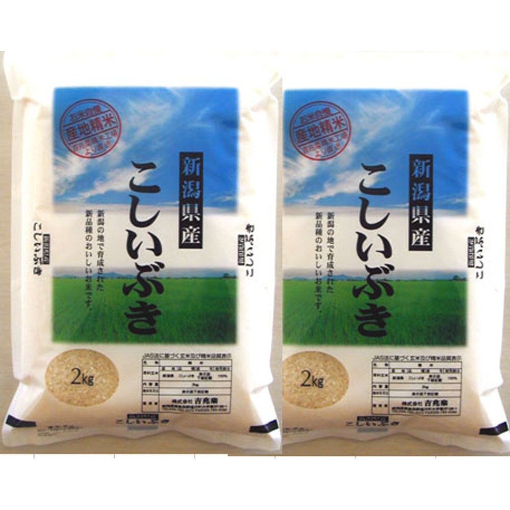 【3人シェア買いでお得】新潟 雪蔵仕込 新潟 こしいぶき 2kg×2