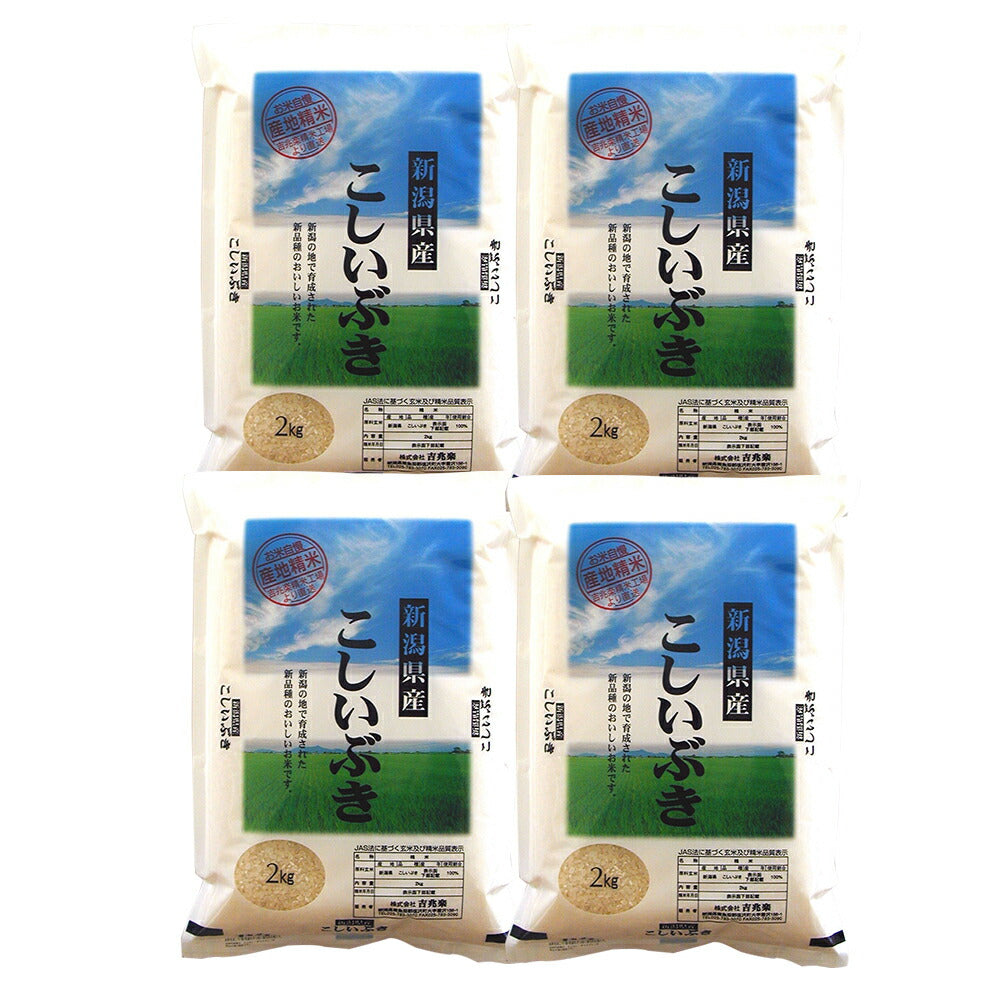 新潟 雪蔵仕込 こしいぶき 2kg×4