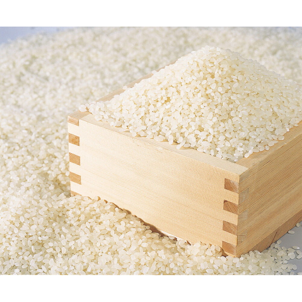 秋田県産あきたこまち 3kg(1kg×3)