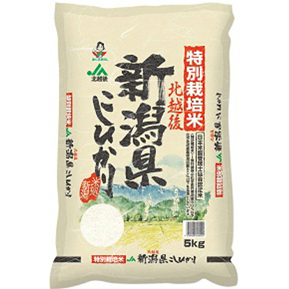 新潟 JA北越後産 特別栽培米コシヒカリ 5kg