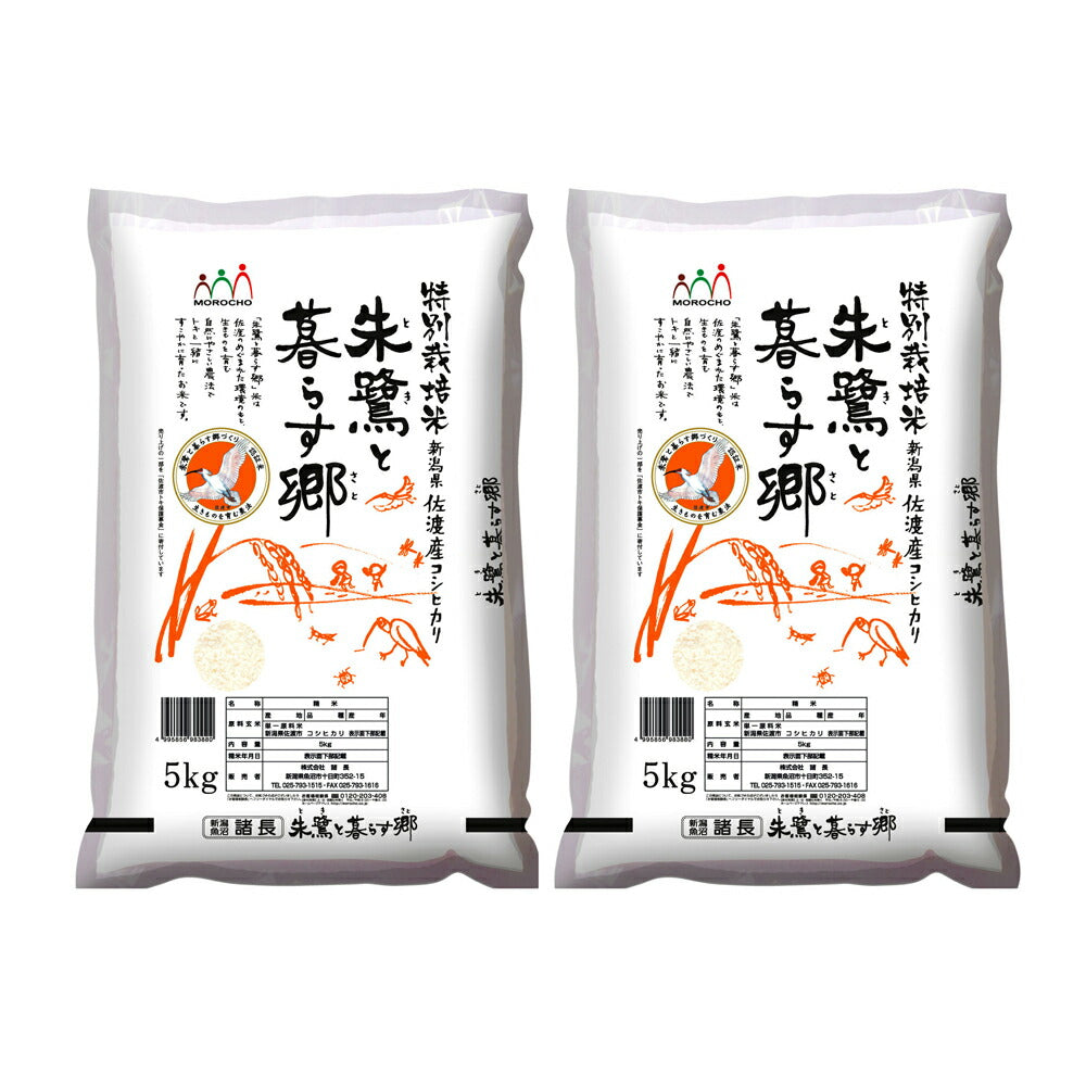 【3人シェア買いでお得】新潟 佐渡産コシヒカリ特別栽培米 5Kg×2