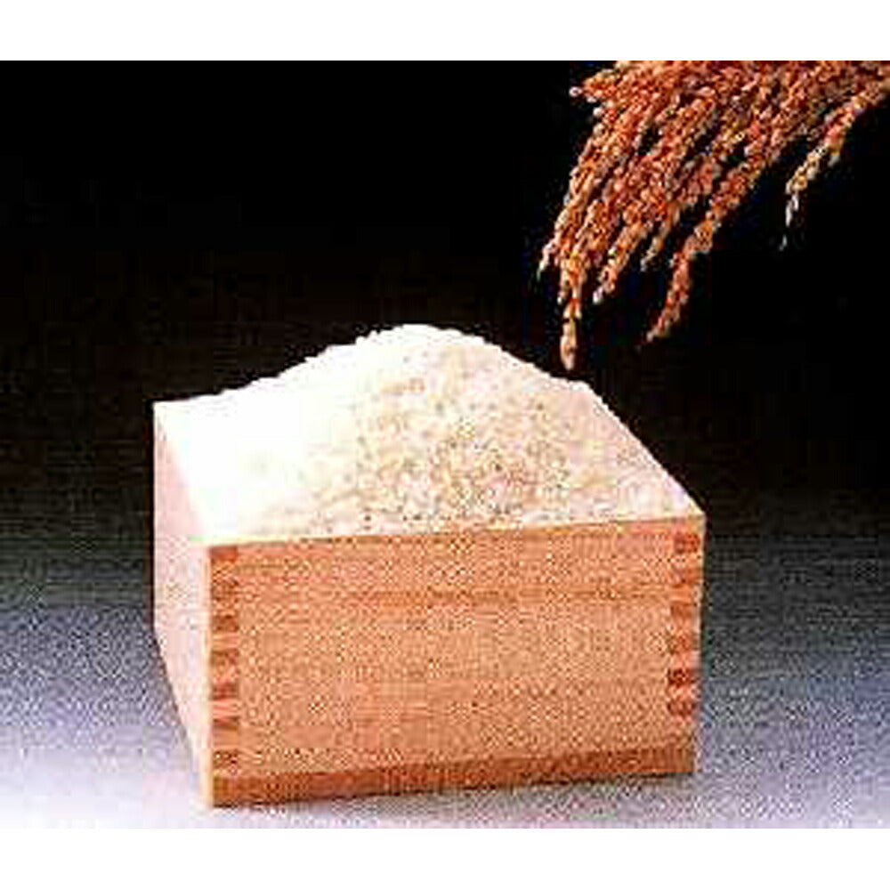 山形産はえぬき 5Kg