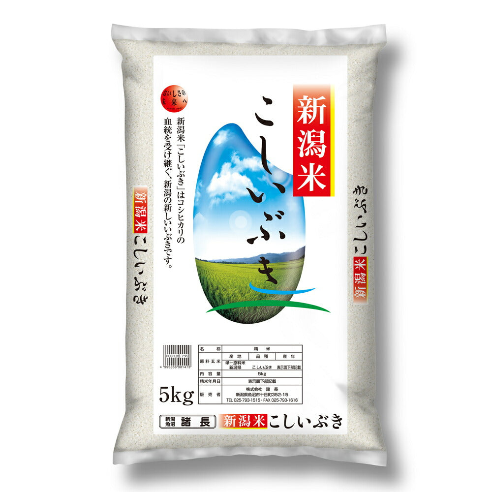 【3人シェア買いでお得】新潟産こしいぶき 5Kg