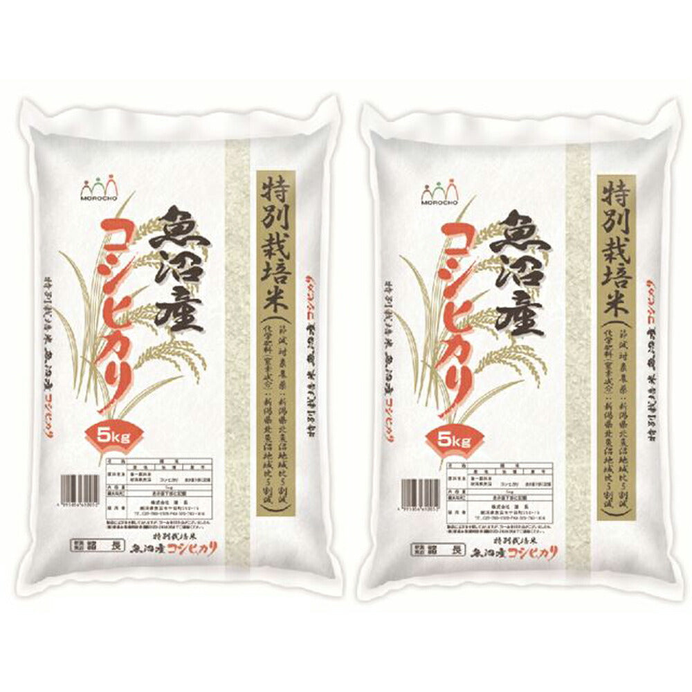 新潟 特別栽培米魚沼産コシヒカリ 5Kg×2