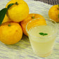 高知 ゆずドリンク 200ml×12【送料込み】