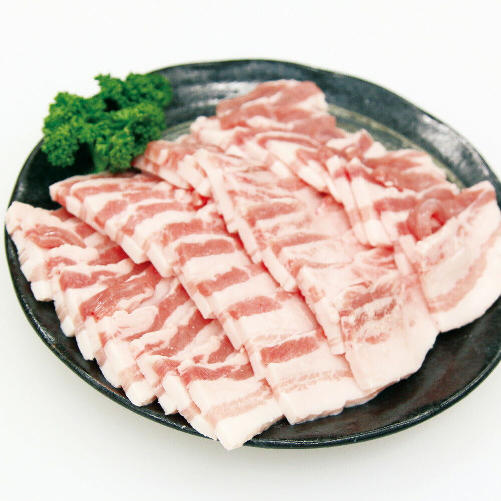 宮崎 SPF日南もち豚 バラ焼肉用