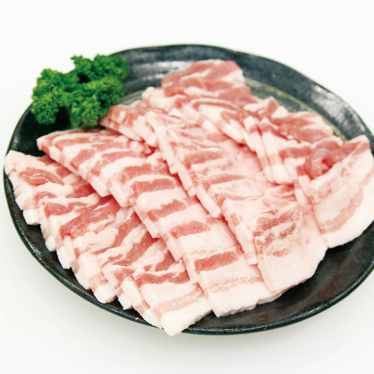 宮崎 SPF日南もち豚 バラ焼肉用