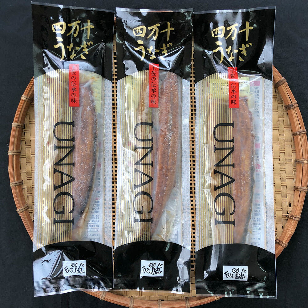 【お中元】高知 四万十うなぎ 蒲焼140g×3