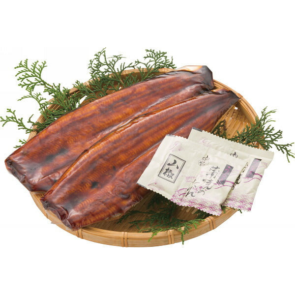 【お中元】高知 四万十うなぎ 蒲焼140g×3