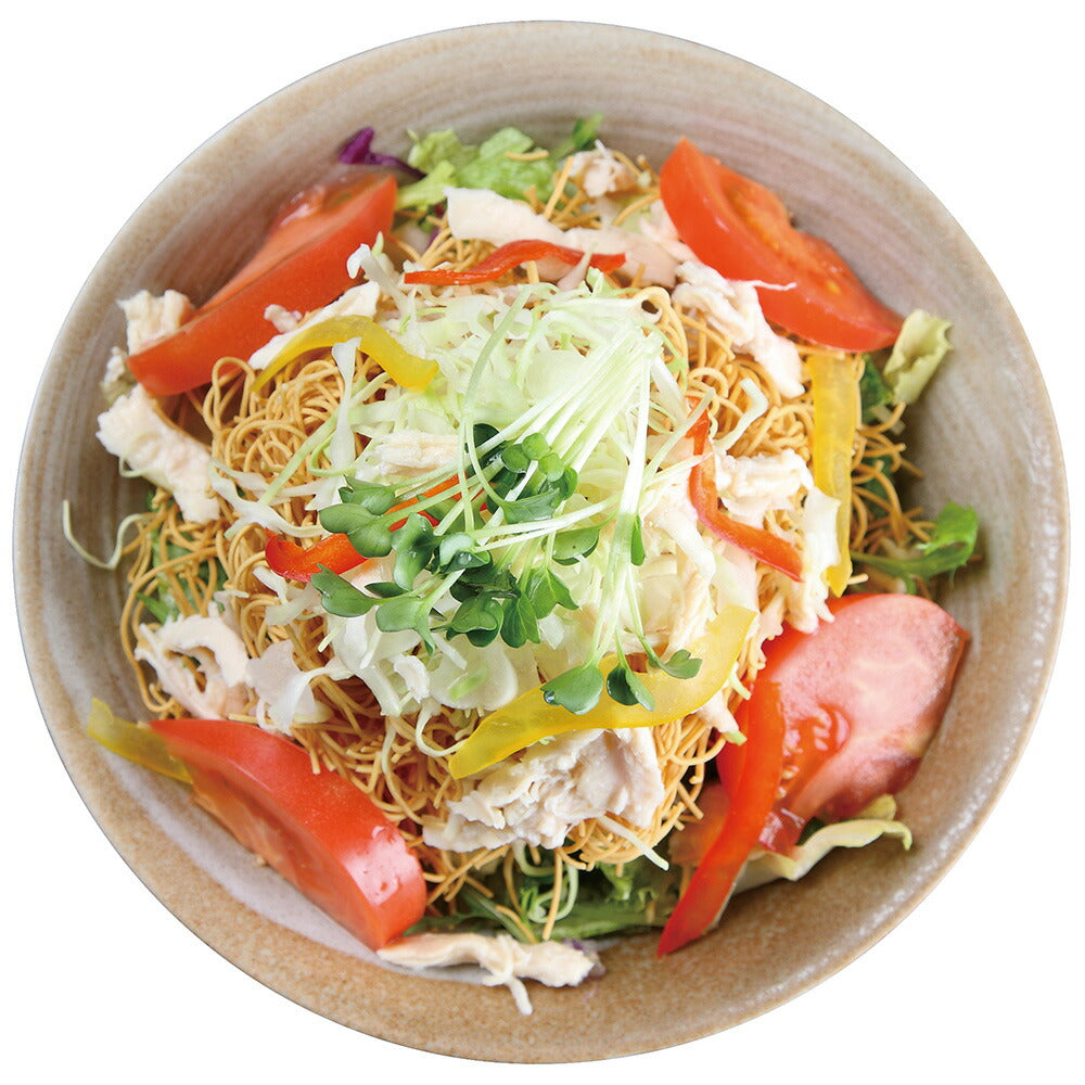 【お中元】パリパリ サラダ麺