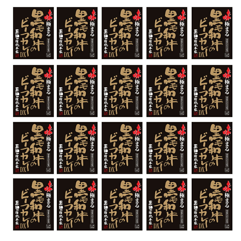 三田屋総本家　味極まる黒毛和牛のビーフカレーＤＸ(20食)
