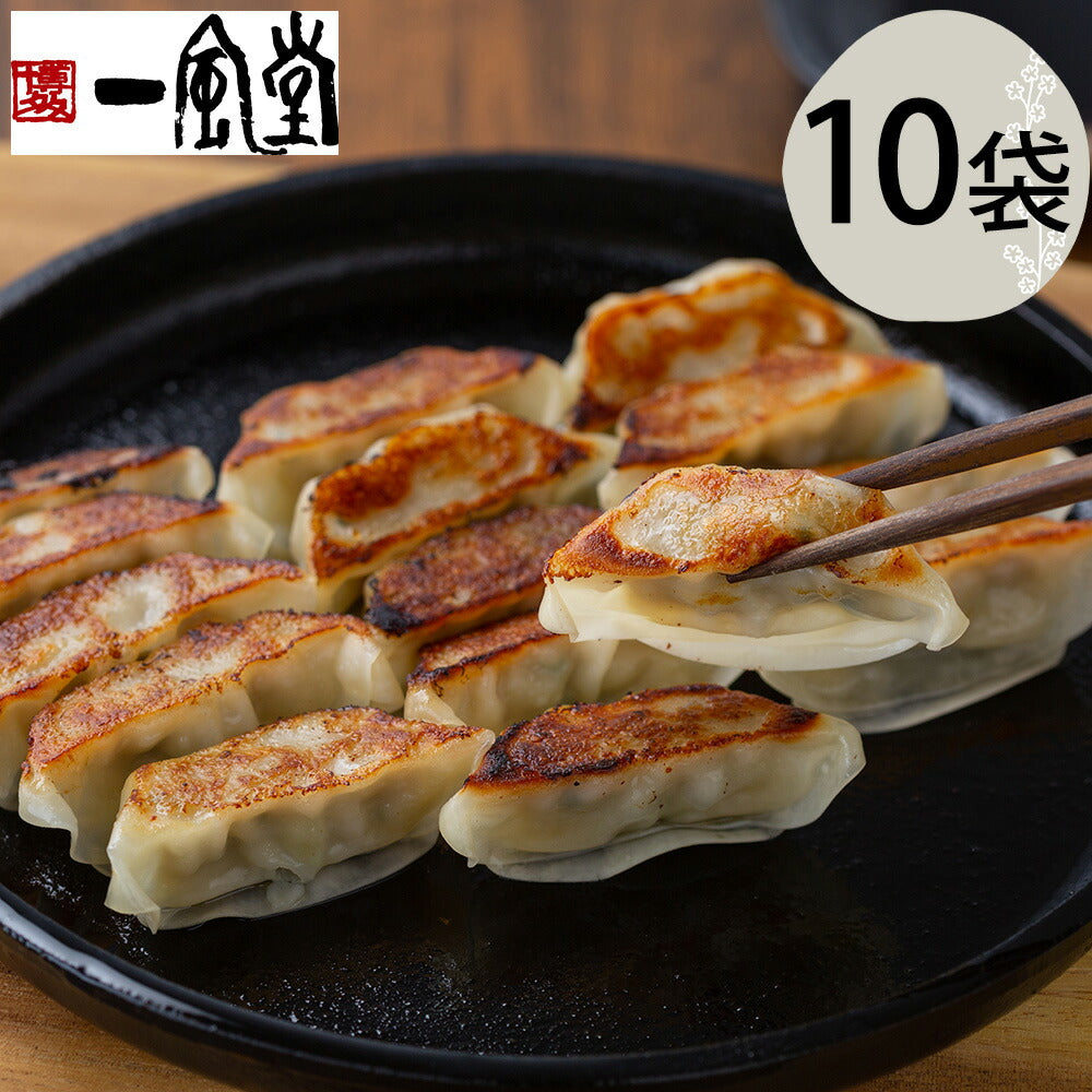 【3人シェア買いでお得】福岡 「博多一風堂」 博多ひとくち餃子（10袋）